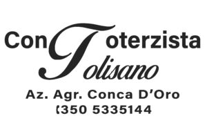 tolisano intaglio[1]